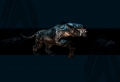 Sabre Wallpaer