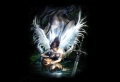 Angel Wallpaer