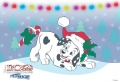 Snow Fun Wallpaer