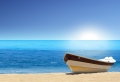 Sunny Day Wallpaer