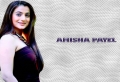 Amisha Wallpaer