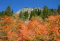 Autumn 7 Wallpaer