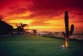 Beach 21 Wallpaer