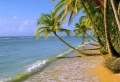 Beach 4 Wallpaer