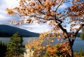 Autumn 9 Wallpaer