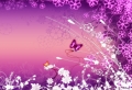 Floral Pink Wallpaer
