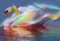 Colorful Swan Wallpaer