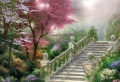 Way to Paradise Wallpaer