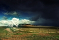Dreamy Field Wallpaer