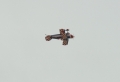 RC Airplane 11 Wallpaer