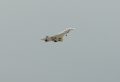 Concorde Wallpaer