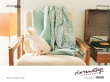 Little dog on chair Wallpaer