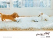 Two nintendo dogs Wallpaer
