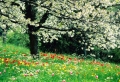 Colorful Flowers in Spring Wallpaer