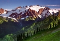 Brown and Green Mountains in Spring Wallpaer