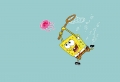 Chasing Jelly fish Wallpaer