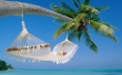 Hammock Wallpaer