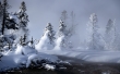 Mystic Winter Wallpaer