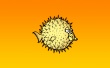 Ball big fish Wallpaer