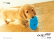 Ninten dog blue Wallpaer