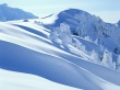 Winter frost Wallpaer