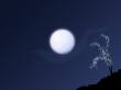 Perfect winter night Wallpaer