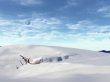 Winter wonderland Wallpaer