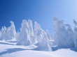 Winter strange forms Wallpaer