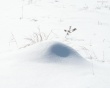 Winter everywhere Wallpaer