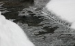 Winter ice flowers Wallpaer