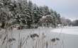 Winter straws Wallpaer