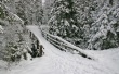 Winter bridge Wallpaer