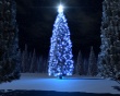 Christmas blue tree Wallpaer