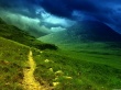 Night fear Wallpaer