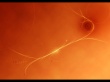 Enlight my way Wallpaer