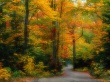 Autumn scenery Wallpaer