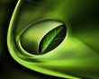 Symbolic leaf Wallpaer