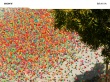 SONY Bravia balls Wallpaer