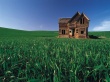 Wood house Wallpaer