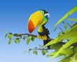 Colored parrot Wallpaer