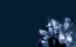 Blue flower Wallpaer