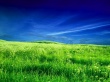 Zeeland field Wallpaer