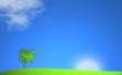 Summer breeze Wallpaer