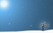 Last winter tree Wallpaer