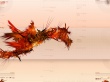 Digital Dragon Wallpaer