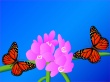Colours of spring Wallpaer