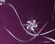 Spring abstract flower Wallpaer