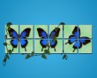 Spring blue butterfly Wallpaer