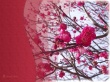 Spring in Japan Wallpaer