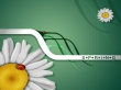 Elements of spring Wallpaer